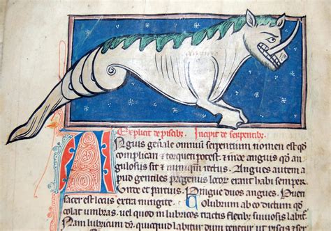 Fantastical Creatures From Illuminated Manuscripts .